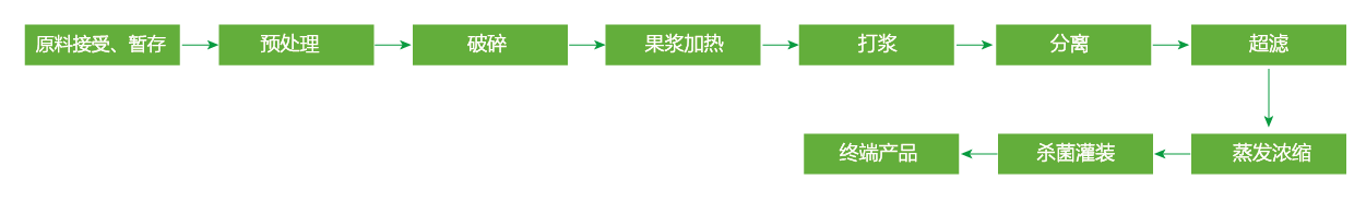 藍(lán)莓、草莓、桑葚濃縮汁